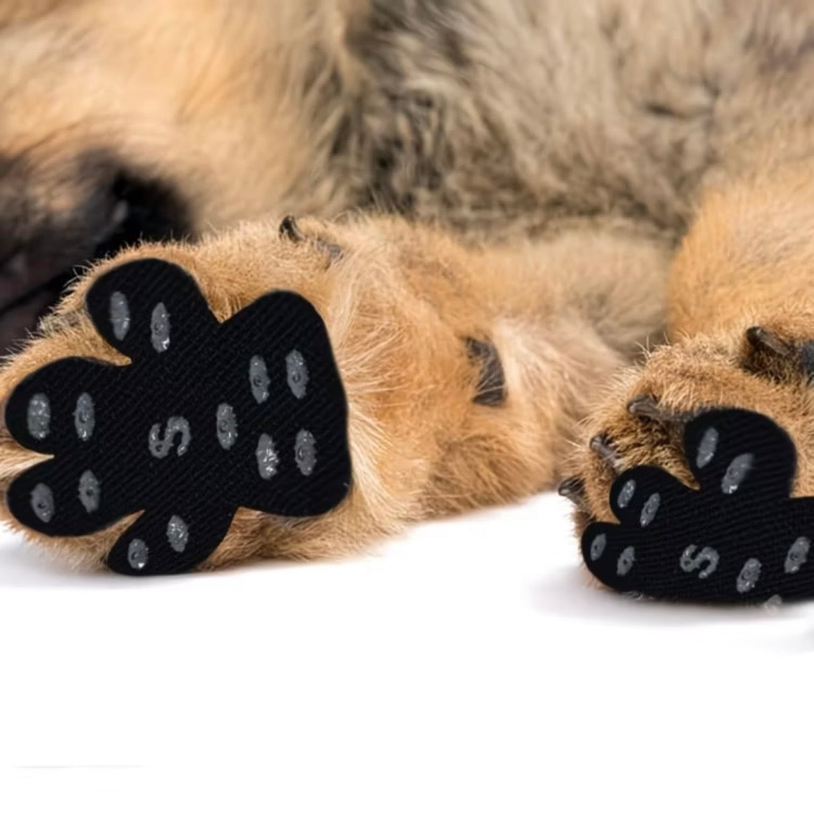 SteadyPaws Senior Dog Anti-Slip Paw Grips — Paw Pad Protectors for Hardwood Floors